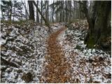 Spodnja Besnica (Ribogojnica) - Špičasti hrib